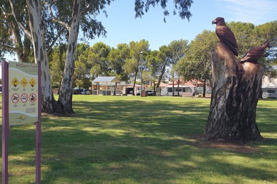 McCann Park & Chainsaw Sculpture